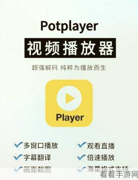 轻松掌握！PotPlayer 更改声道选项秘籍
