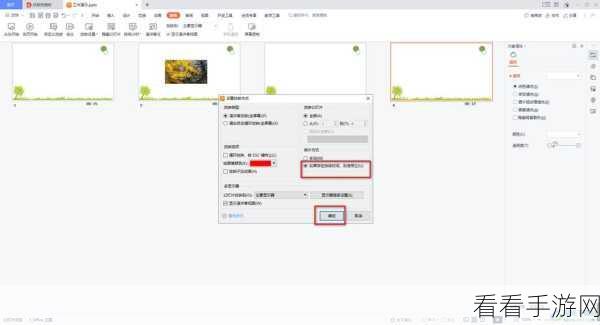 轻松掌控 PPT 音频！WPS PPT 让指定页停止播放音频秘籍