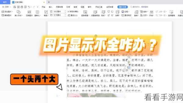 轻松搞定 Word 只显示拼音不显示文字难题