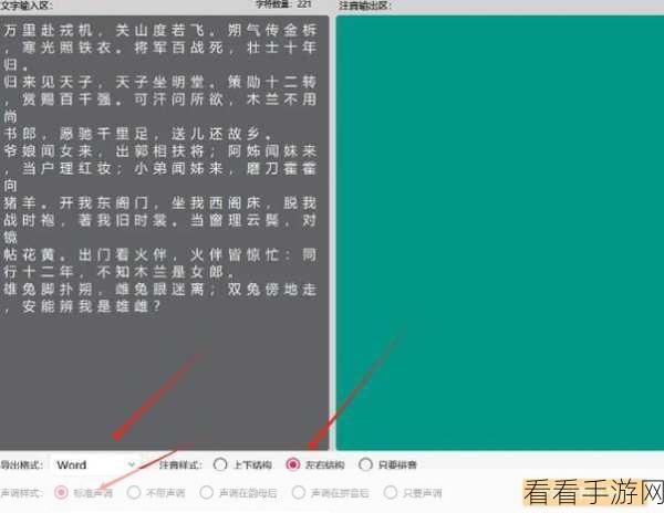 轻松搞定 Word 只显示拼音不显示文字难题