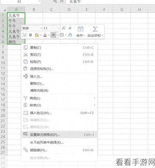 解决 Excel 表格文字显示不全的妙招大揭秘