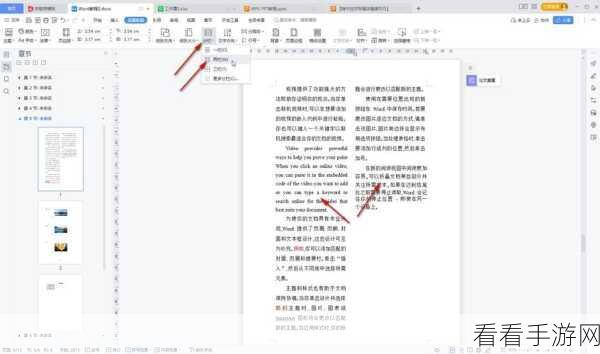 轻松掌握!WPS Word 文字突出显示秘籍