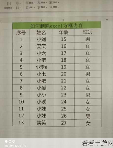 轻松搞定!Excel 表格中带钩小方框的删除秘籍