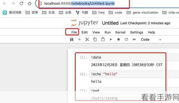 掌握 Python 交互式命令的会话状态管理秘籍