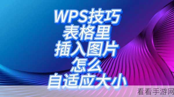 WPS 图片精准设置,轻松搞定 3x3 厘米大小