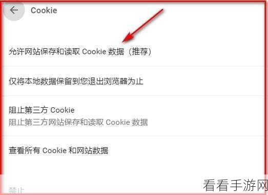 轻松搞定！谷歌浏览器开启 Cookie 全攻略