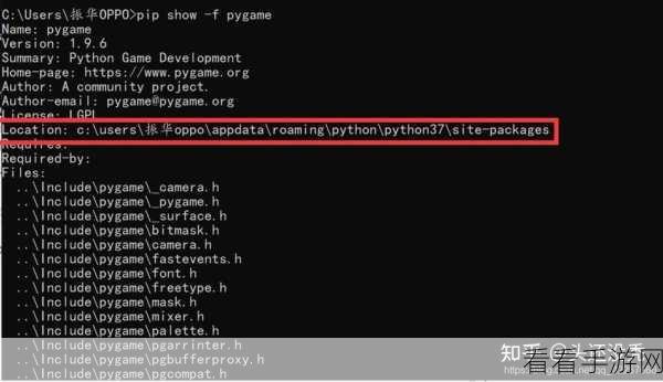 Python Pip 更新命令，能否精准指定更新包？