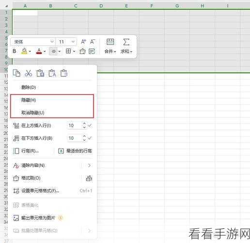 轻松搞定 WPS 表格状态栏隐藏秘籍