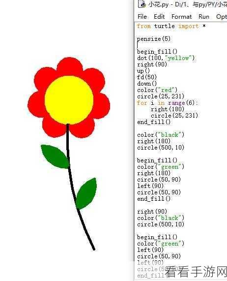 Python Turtle 图形变换秘籍，轻松掌握神奇技巧