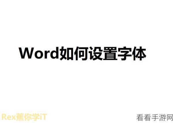 Word 秘籍，汉字与英文字母字体巧妙区分设置指南