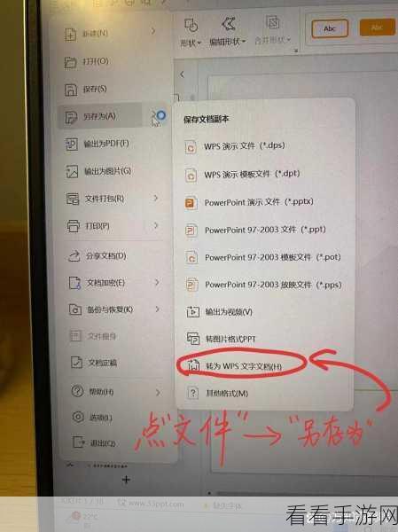 轻松搞定！WPS Word 目录中图片与多余文字的清除秘籍