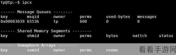 探索 Linux 集群中 ipcs 命令的跨节点资源管理秘籍