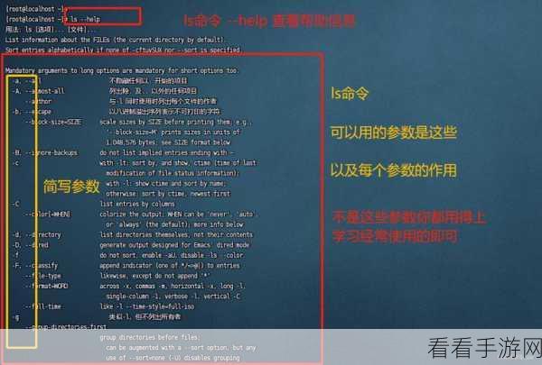 Linux 中 Python 命令性能优化秘籍大揭秘
