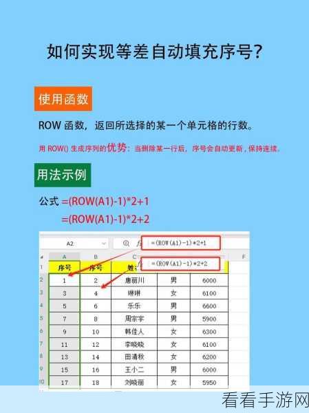 Excel 与 WPS 表格中批量输入带括号序号秘籍