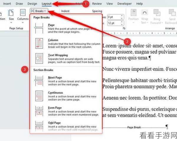 Word 文档打印指定页面秘籍，轻松搞定几页打印