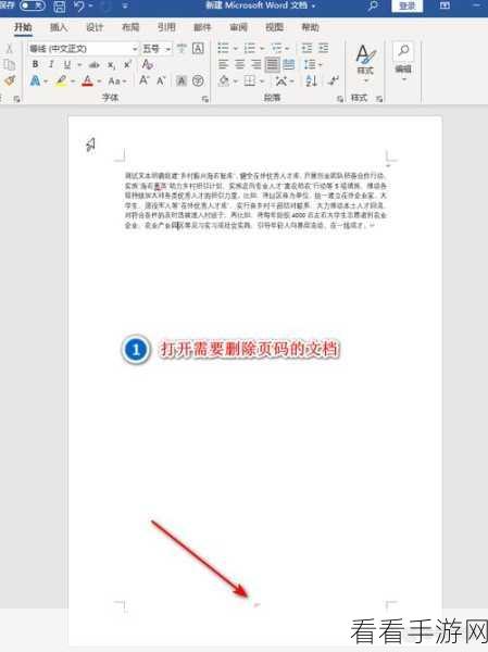 Word 文档打印指定页面秘籍，轻松搞定几页打印