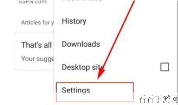 轻松搞定谷歌浏览器图片显示难题