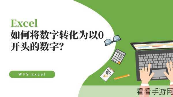 轻松解决 Excel 数字开头 0 消失难题的秘籍