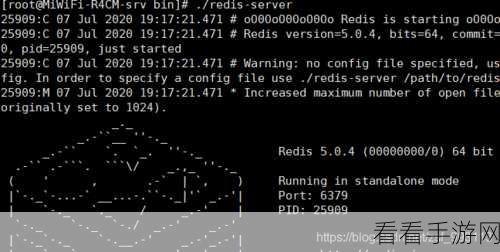 探索 JDK 命令,简化开发流程的神奇密码