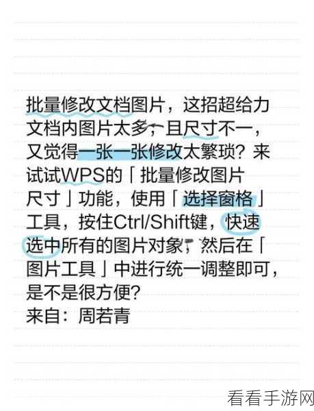 轻松搞定！WPS Word 文档封面转图片秘籍