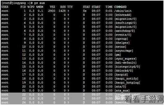 Linux 中 Python 命令的系统监控魔法