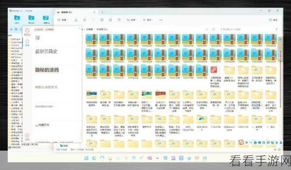 轻松搞定 360 极速浏览器清理提醒设置秘籍