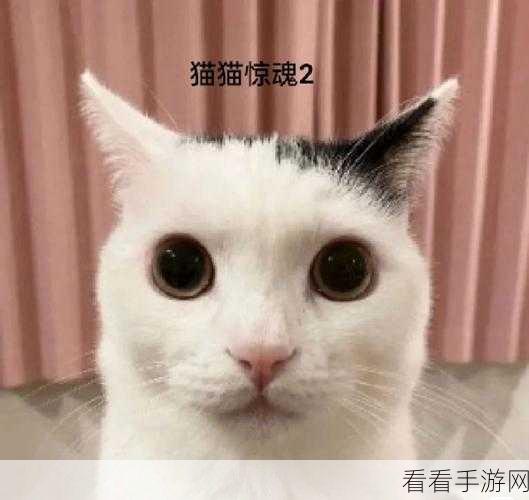 猫猫惊魂，多结局休闲冒险手游震撼来袭，探索未知惊喜！