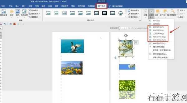 WPS Word 高效套图秘籍，完美复用前一份文档的图