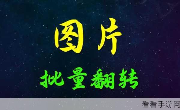 轻松掌握方正飞腾图片镜像翻转技巧