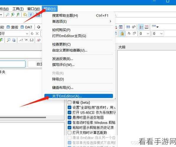 轻松掌握！Emeditor 选中一列文本的绝妙方法