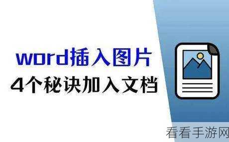 轻松掌握!Emeditor 打开 Word 文件的秘诀