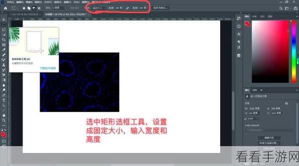 Photoshop 局部放大图片秘籍，轻松实现精准放大效果