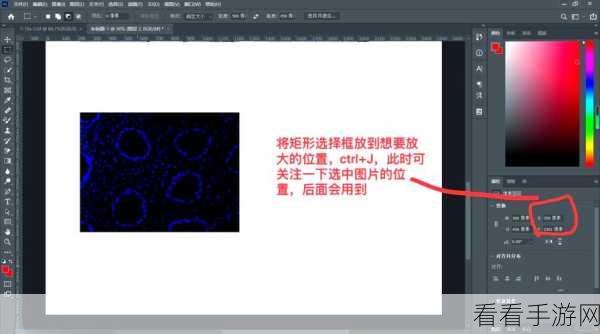 Photoshop 局部放大图片秘籍，轻松实现精准放大效果