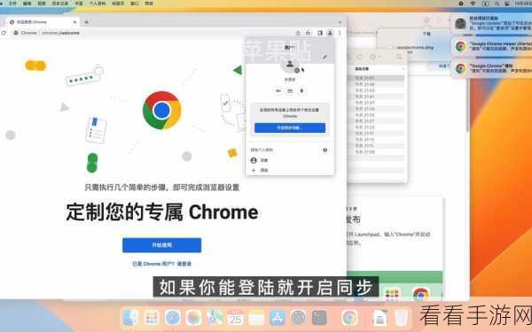 轻松搞定！谷歌浏览器标准预加载功能设置秘籍