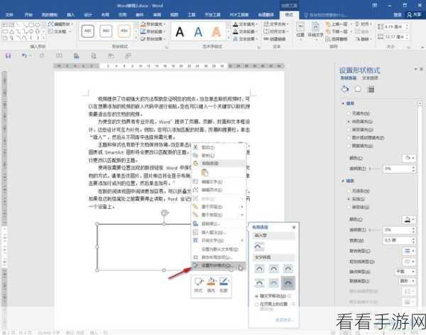 轻松搞定！Word 文本框线条去除秘籍