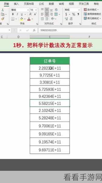 WPS 表格秘籍，色条显示与数据隐藏的神奇设置
