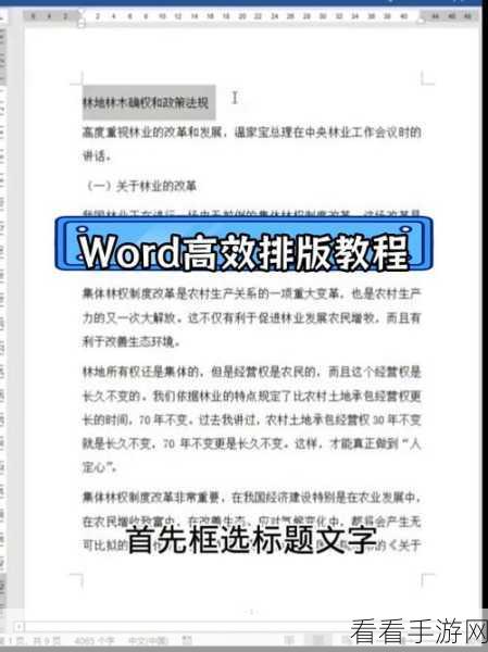 轻松掌握！Word 文字竖向排列秘籍大公开