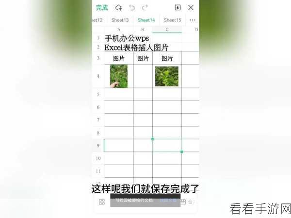 轻松搞定 WPS Excel 图表图片填充秘籍