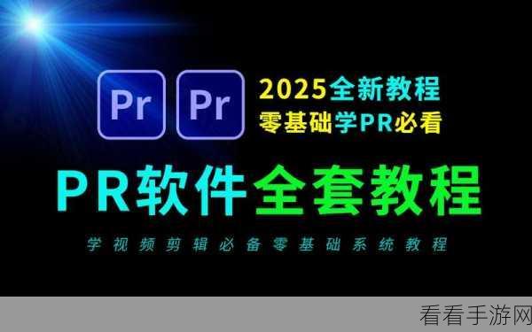 轻松搞定！PR 去除视频标记的绝妙教程