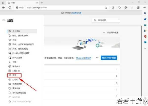 轻松搞定 Edge 浏览器用户偏好设置秘籍