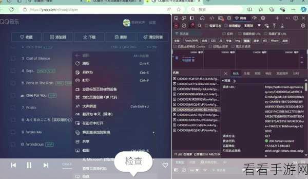 QQ 音乐电脑版，轻松放大评论区字体秘籍
