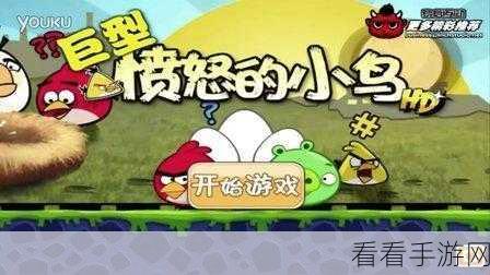 飞镖俱乐部游戏最新版震撼上线，体验指尖上的投掷乐趣与竞技激情