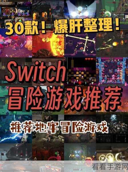 探秘无尽秘境,深度解析这款地牢RPG养成战斗冒险游戏