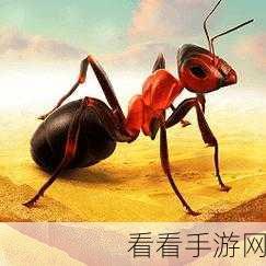 蚂蚁王国探险,Little Colony休闲游戏深度评测与玩法揭秘