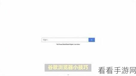 轻松搞定！谷歌浏览器自动撤销未用网站权限秘籍