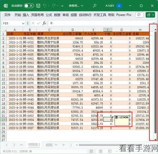 Excel 单元格输入数字限制秘籍，轻松搞定的实用方法