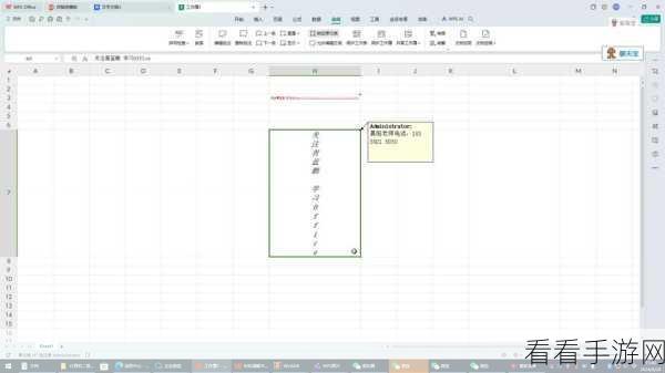 轻松搞定 WPS Excel 新工作表默认字体设置秘籍