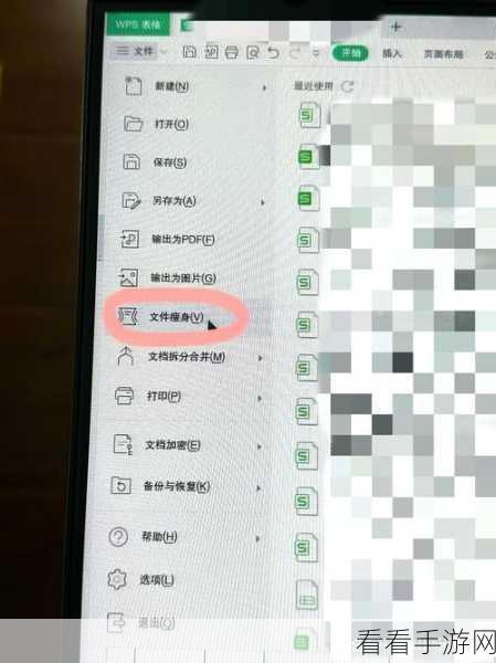 WPS Excel 左右滚动条消失？别急，解决办法来了！