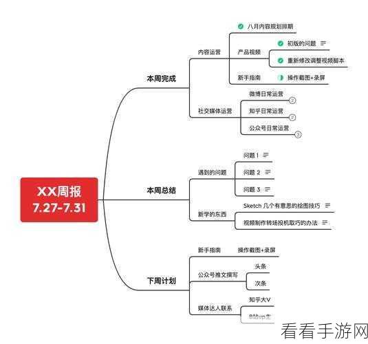 掌握 XMind 思维导图添加概要的秘诀