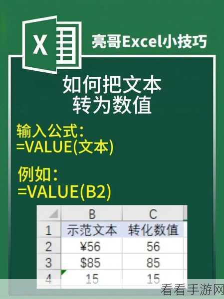 WPS 表格数值型转字符型秘籍，数字变文本的神奇方法